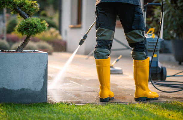 Best Deck Cleaning Services  in Peoria, IL